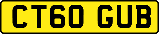 CT60GUB