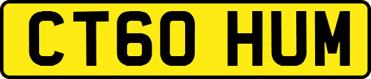 CT60HUM