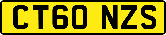 CT60NZS