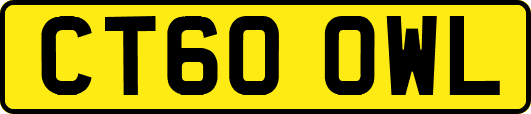 CT60OWL