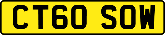CT60SOW