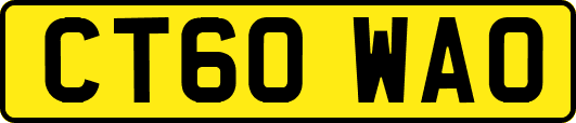 CT60WAO