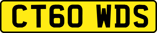 CT60WDS