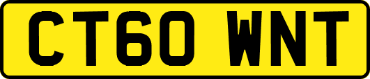 CT60WNT