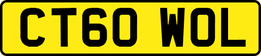 CT60WOL