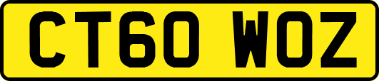 CT60WOZ
