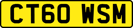 CT60WSM