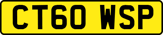 CT60WSP