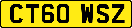 CT60WSZ