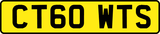 CT60WTS