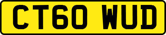 CT60WUD