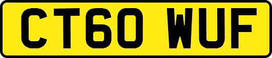 CT60WUF