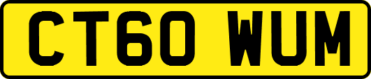 CT60WUM