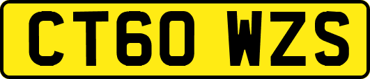 CT60WZS