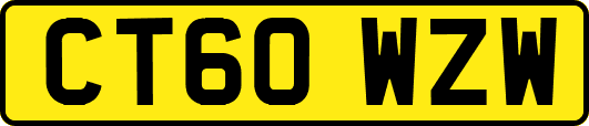 CT60WZW