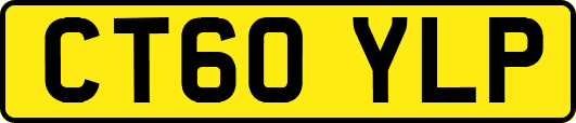 CT60YLP