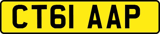 CT61AAP