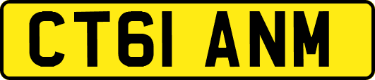 CT61ANM