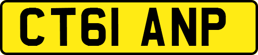 CT61ANP