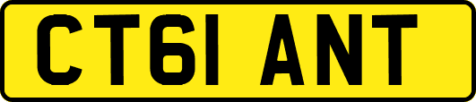 CT61ANT