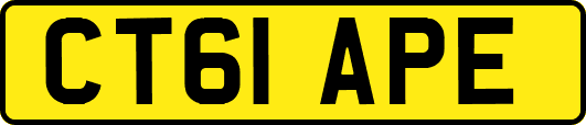 CT61APE