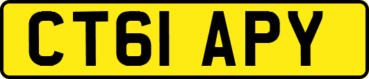 CT61APY