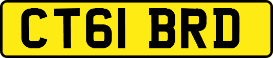 CT61BRD
