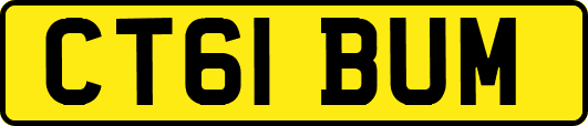 CT61BUM