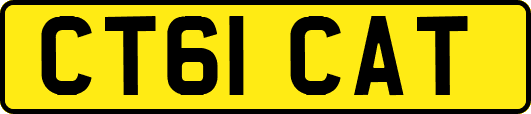 CT61CAT