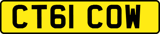 CT61COW