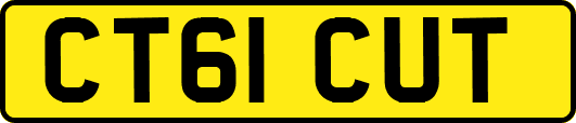 CT61CUT