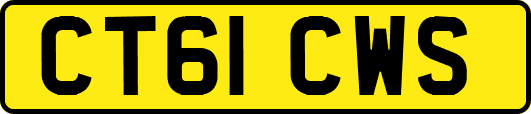 CT61CWS
