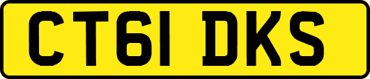 CT61DKS