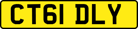 CT61DLY