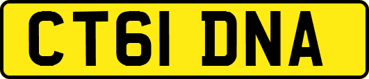 CT61DNA