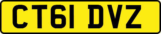 CT61DVZ
