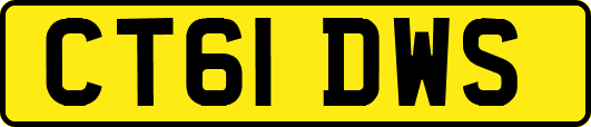 CT61DWS