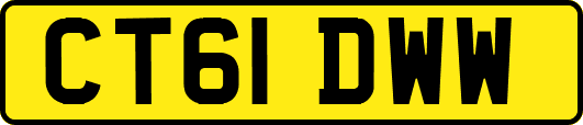 CT61DWW