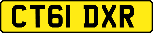 CT61DXR
