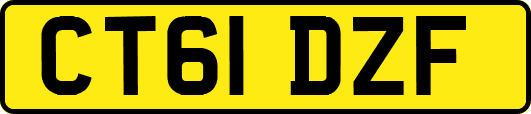 CT61DZF
