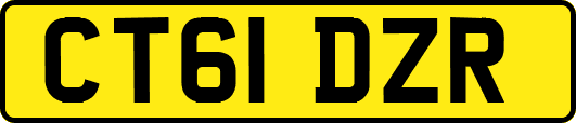 CT61DZR