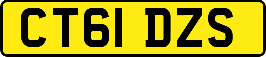 CT61DZS