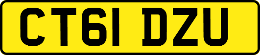 CT61DZU