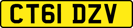 CT61DZV