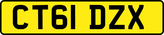CT61DZX