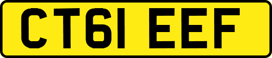 CT61EEF