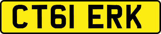 CT61ERK