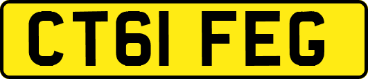 CT61FEG