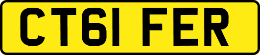 CT61FER