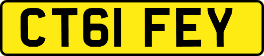 CT61FEY